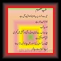 Shaib e Mosoom 01 * 30.05.2007 * 350 x 504 * (26KB)
